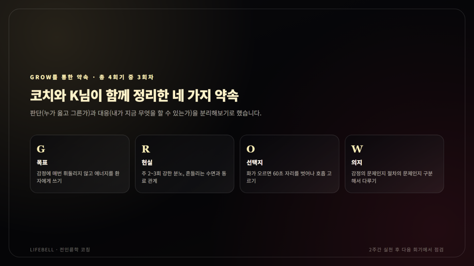 도덕적 분노, 참아야 할까 표현해야 할까 — 전공의 번아웃 코칭 사례 — 도해 3